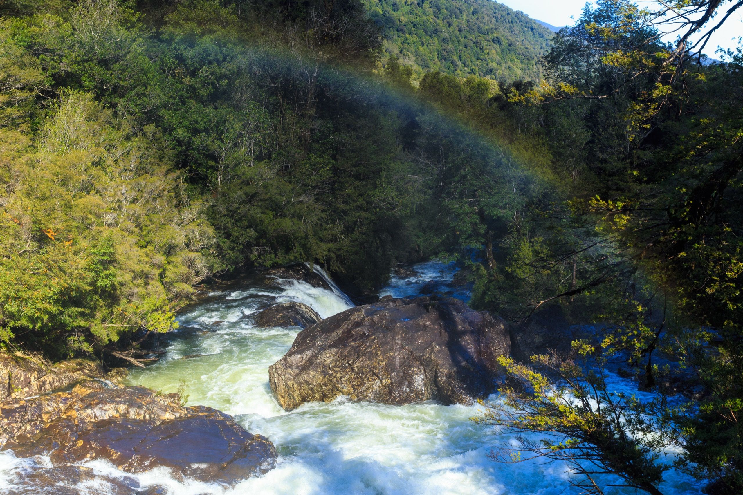 Cascada entre bosque nativo en el Parque Nacional Alerce Andino, con un arcoíris sobre el agua